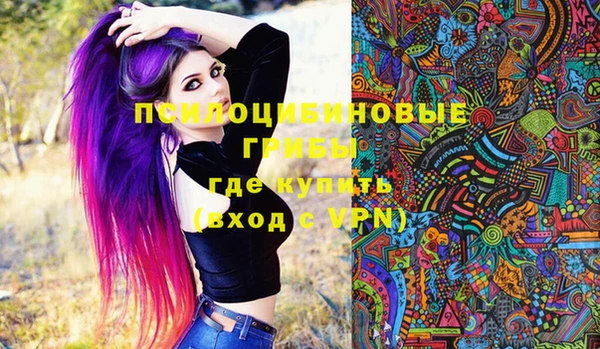 молекула духа Белокуриха