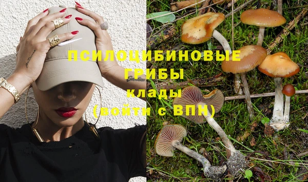 дмт Беломорск