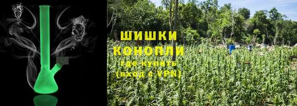 молекула духа Белокуриха