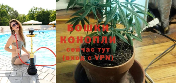 молекула духа Белокуриха