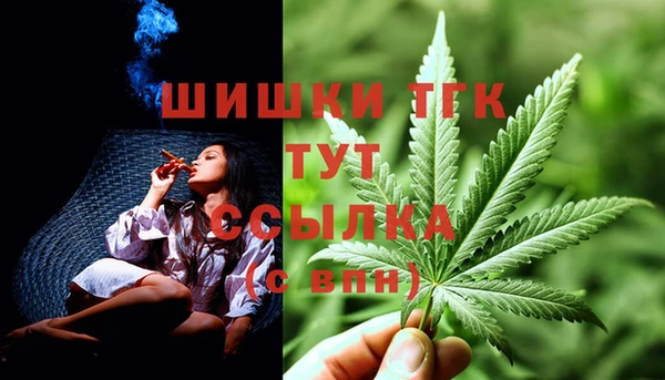 молекула духа Белокуриха