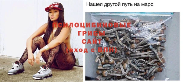 молекула духа Белокуриха