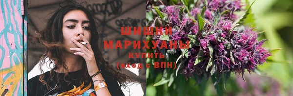 молекула духа Белокуриха